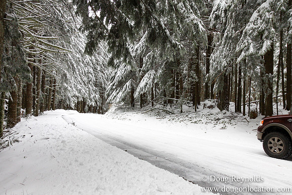 Snow Roads Mt HoodOregon