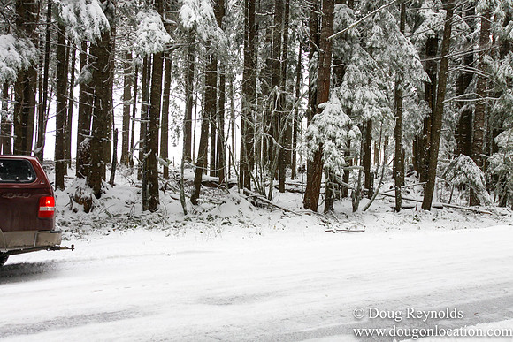 Snow Roads Mt HoodOregon