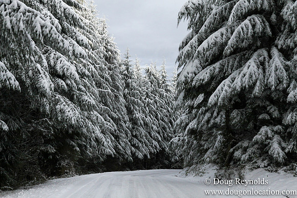 Snow Roads Mt HoodOregon