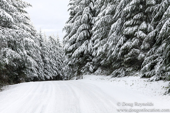 Snow Roads Mt HoodOregon
