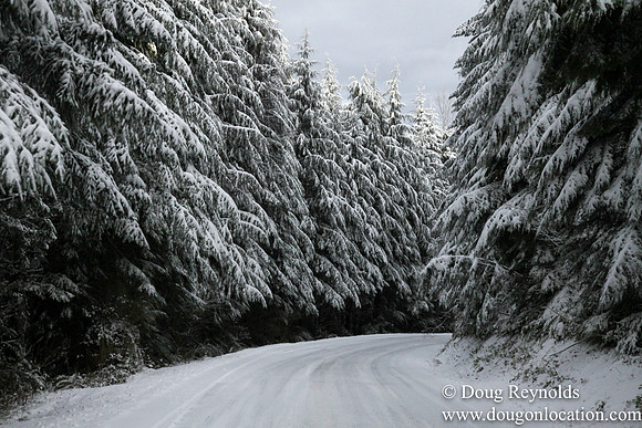 Snow Roads Mt HoodOregon