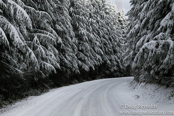Snow Roads Mt HoodOregon