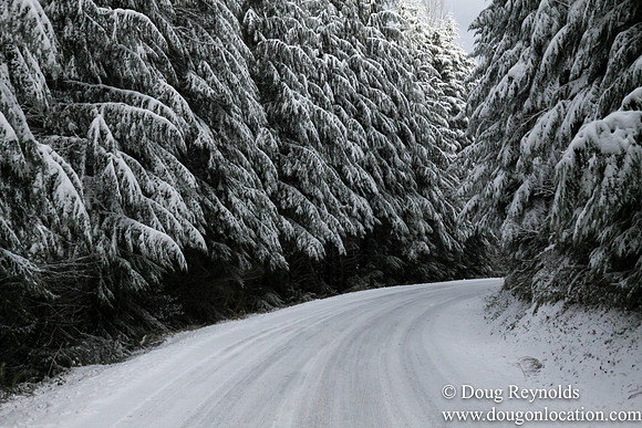 Snow Roads Mt HoodOregon