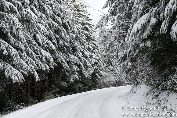 Snow Roads Mt HoodOregon