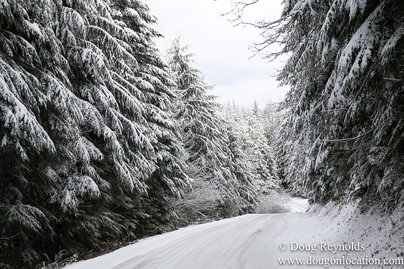 Snow Roads Mt HoodOregon