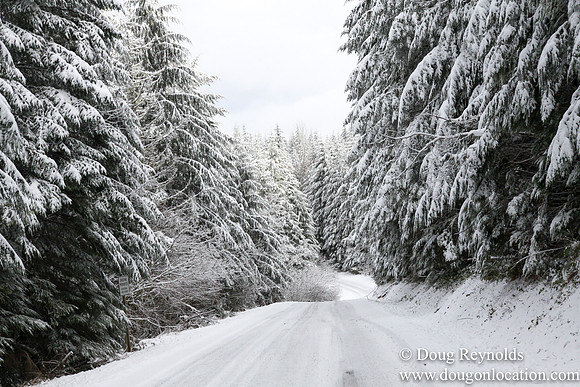 Snow Roads Mt HoodOregon