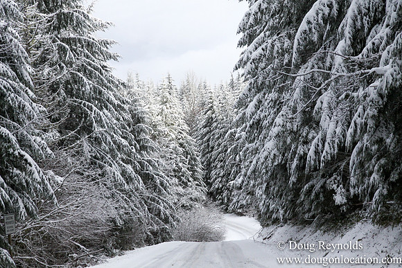 Snow Roads Mt HoodOregon