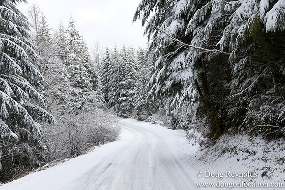 Snow Roads Mt HoodOregon