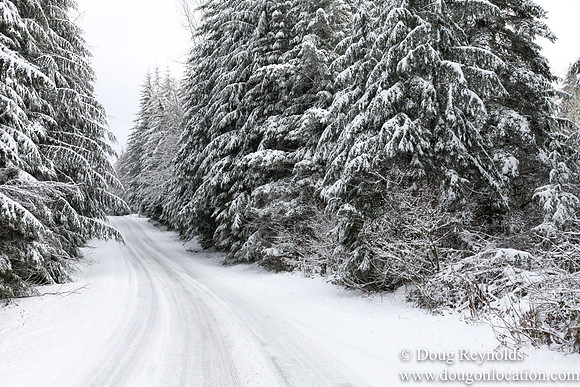 Snow Roads Mt HoodOregon
