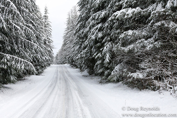 Snow Roads Mt HoodOregon