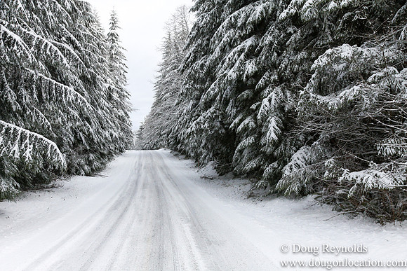 Snow Roads Mt HoodOregon