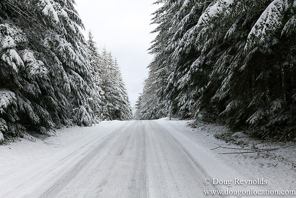 Snow Roads Mt HoodOregon