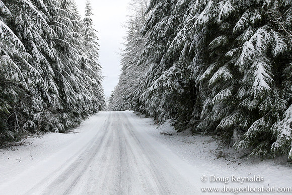 Snow Roads Mt HoodOregon