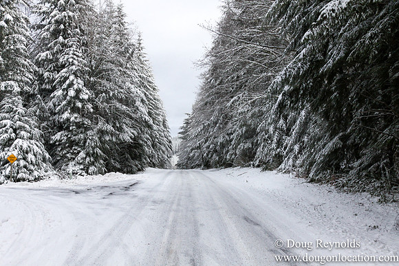 Snow Roads Mt HoodOregon