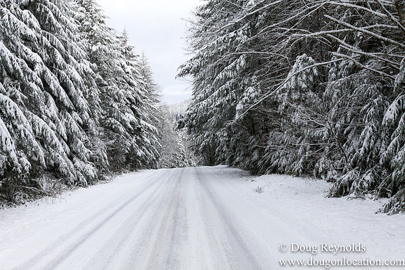 Snow Roads Mt HoodOregon