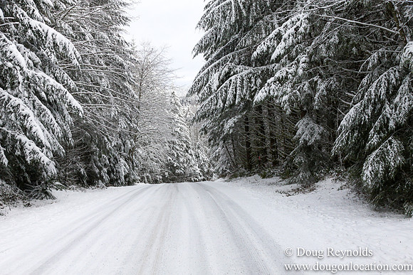 Snow Roads Mt HoodOregon