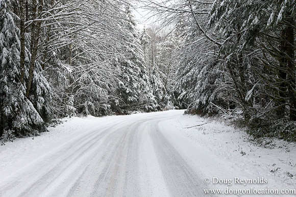 Snow Roads Mt HoodOregon