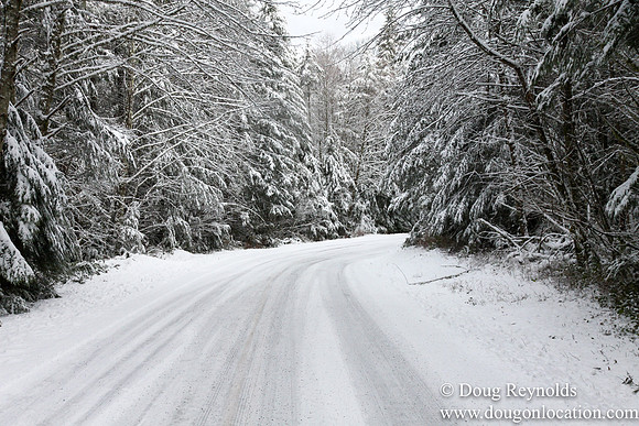 Snow Roads Mt HoodOregon