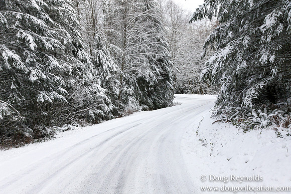 Snow Roads Mt HoodOregon