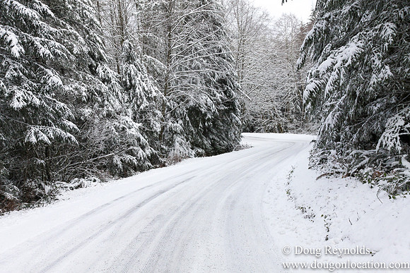 Snow Roads Mt HoodOregon