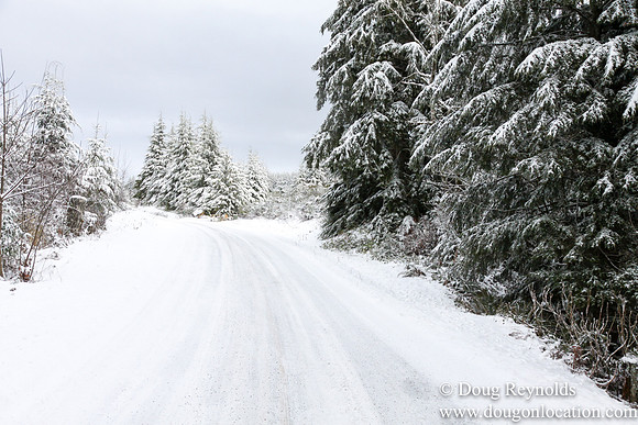 Snow Roads Mt HoodOregon