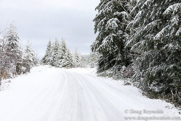 Snow Roads Mt HoodOregon