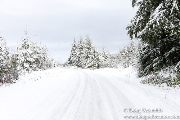 Snow Roads Mt HoodOregon