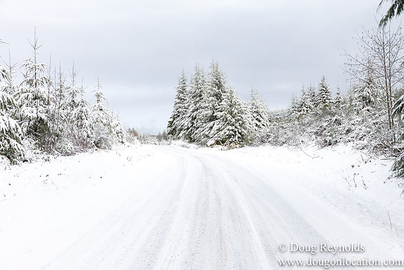 Snow Roads Mt HoodOregon