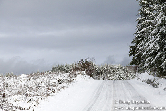Snow Roads Mt HoodOregon