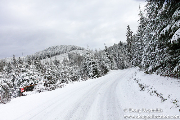 Snow Roads Mt HoodOregon