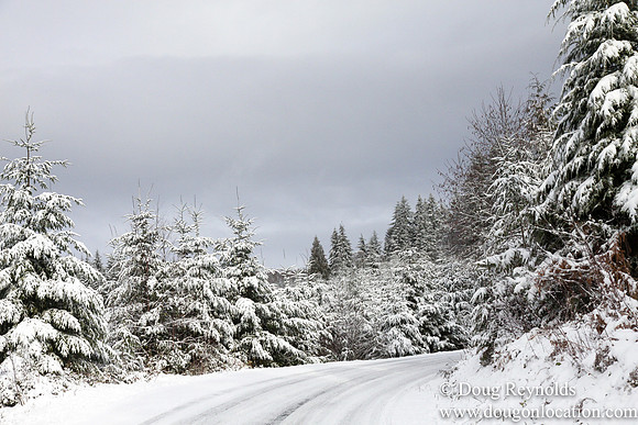 Snow Roads Mt HoodOregon