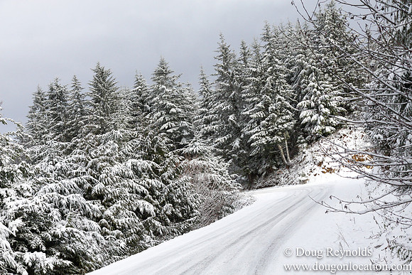 Snow Roads Mt HoodOregon