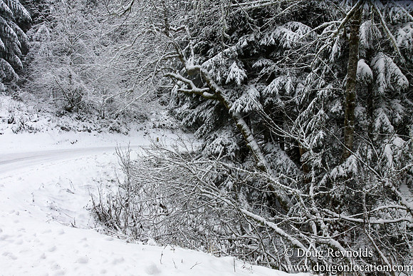 Snow Roads Mt HoodOregon