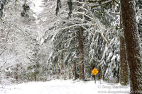 Snow Roads Mt HoodOregon