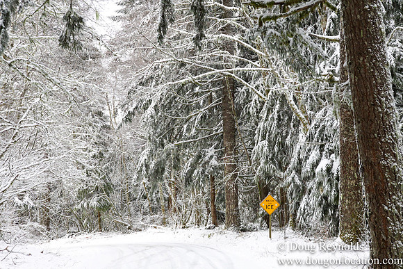 Snow Roads Mt HoodOregon