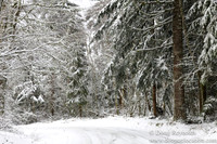 Snow Roads Mt HoodOregon