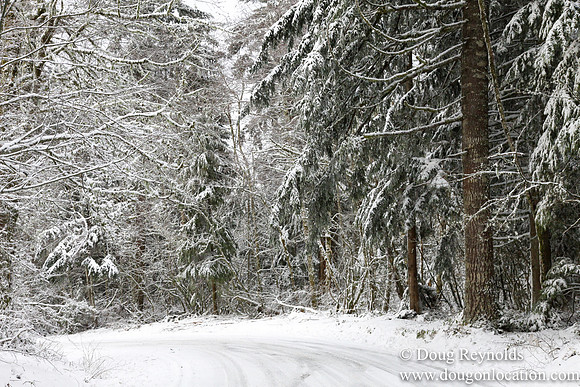 Snow Roads Mt HoodOregon