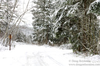 Snow Roads Mt HoodOregon