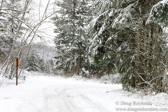 Snow Roads Mt HoodOregon