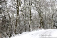 Snow Roads Mt HoodOregon