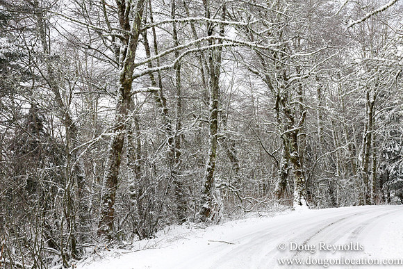 Snow Roads Mt HoodOregon