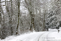 Snow Roads Mt HoodOregon