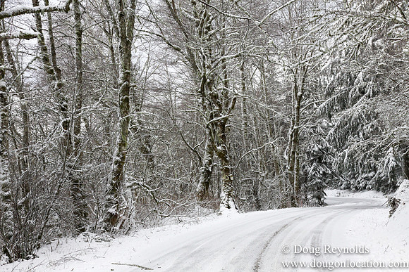 Snow Roads Mt HoodOregon