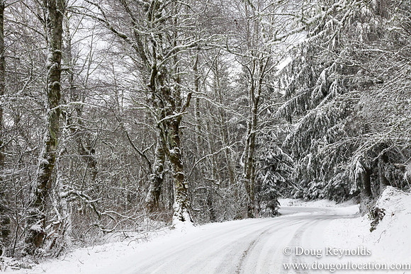 Snow Roads Mt HoodOregon
