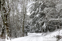Snow Roads Mt HoodOregon