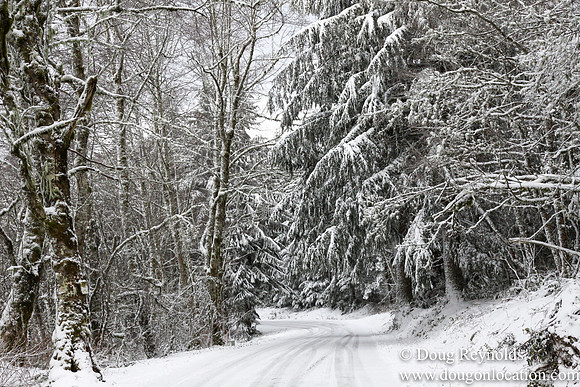 Snow Roads Mt HoodOregon