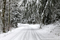 Snow Roads Mt HoodOregon