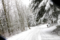 Snow Roads Mt HoodOregon