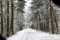 Snow Roads Mt HoodOregon