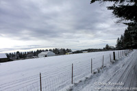 Snow Roads Mt HoodOregon